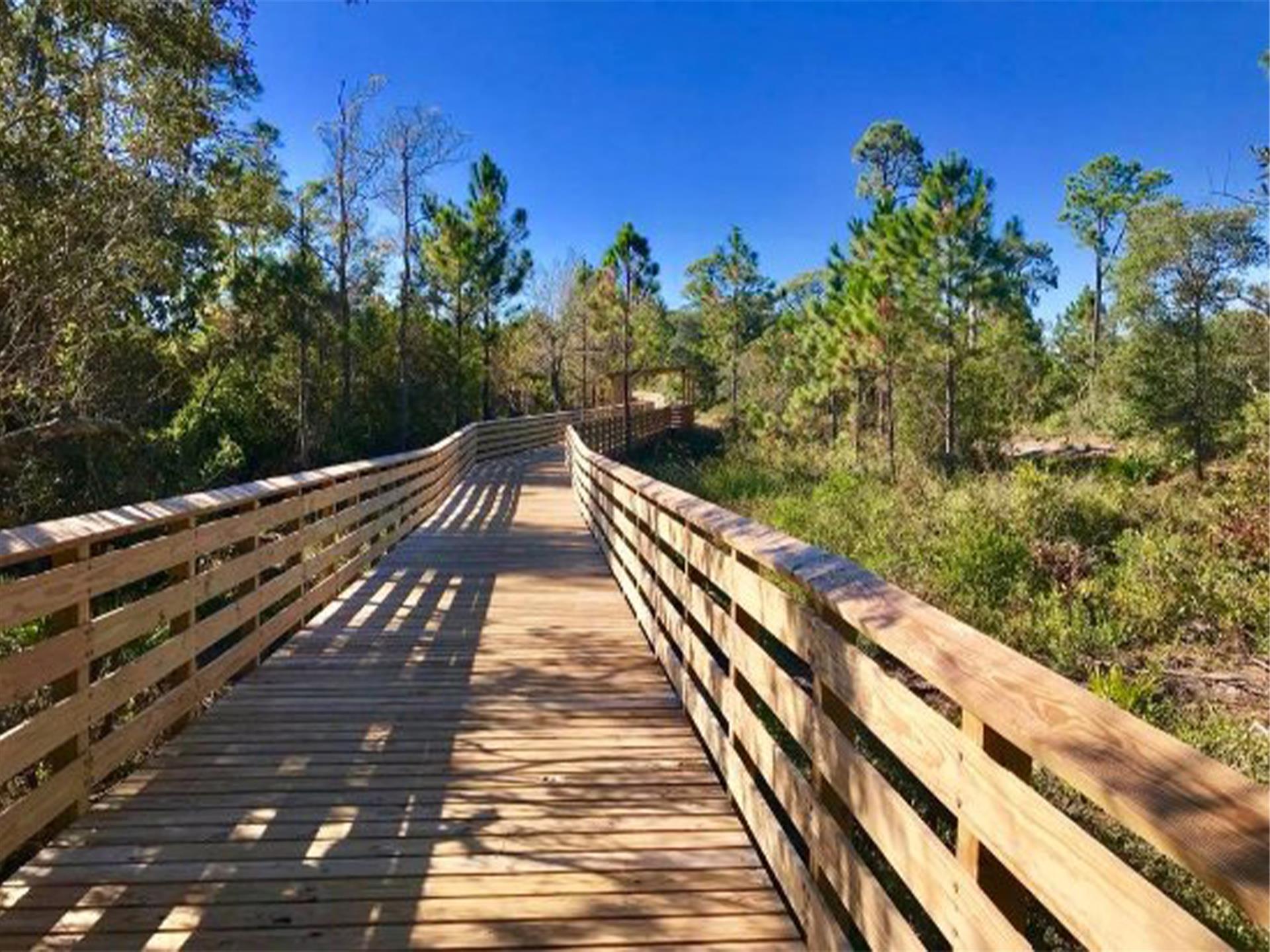 Things To Do Hugh S. Branyon Backcountry Trail