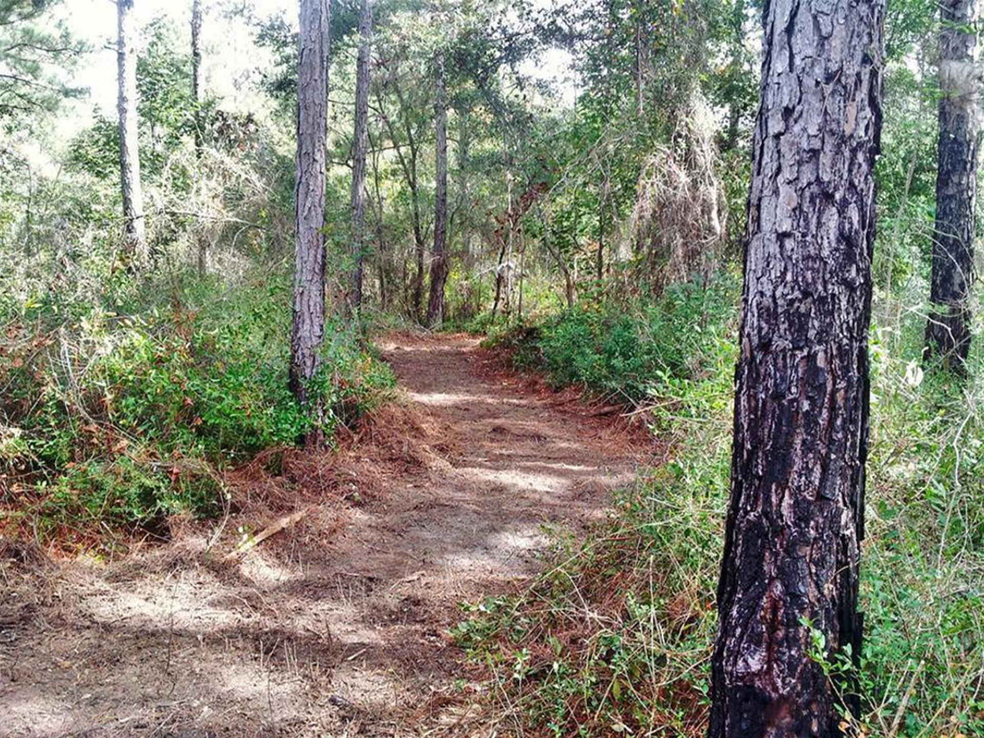 Things To Do Graham Creek Nature Preserve