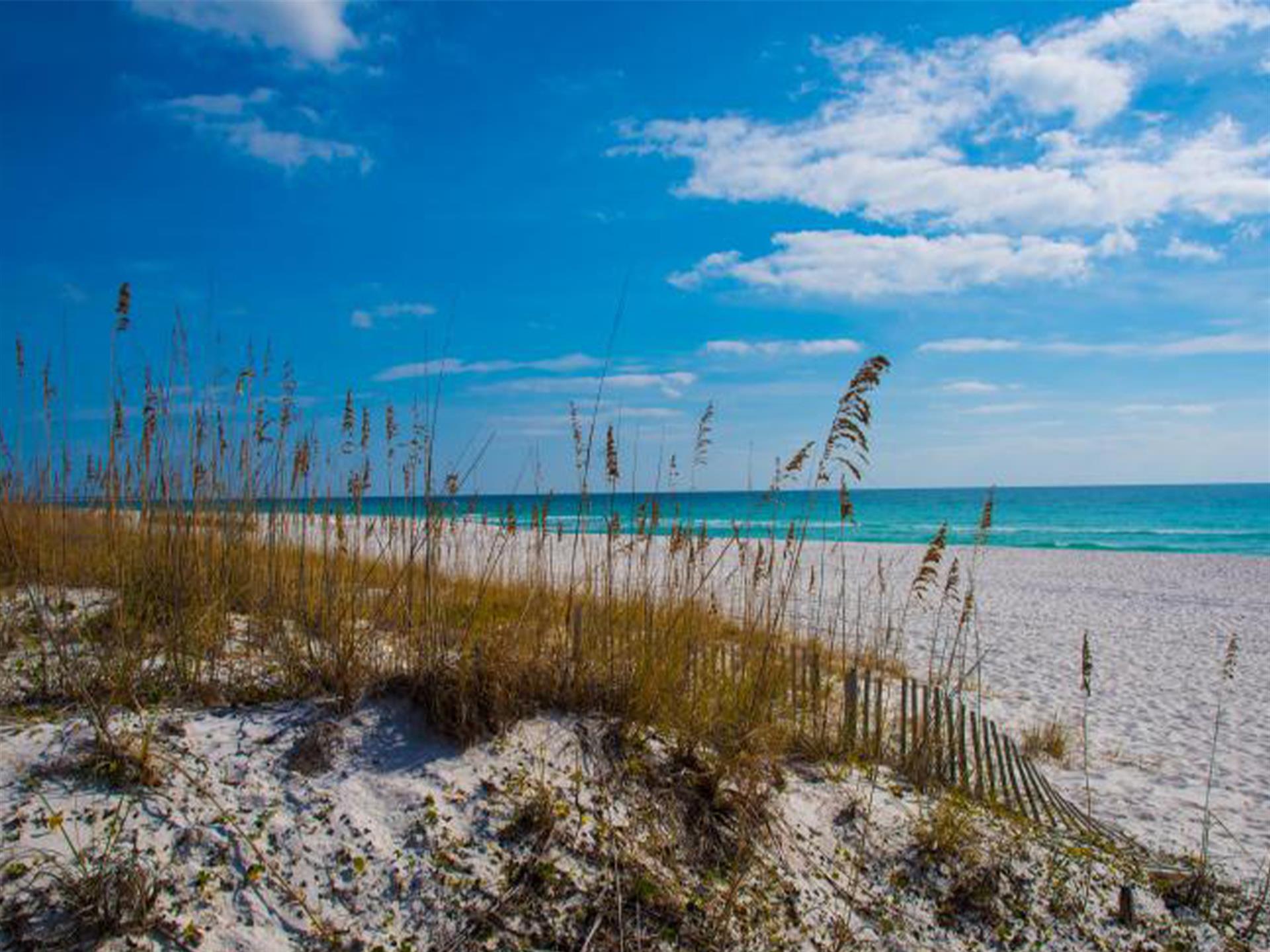 Things To Do Perdido Key State Park