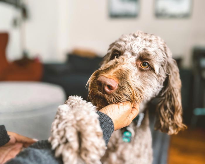 Liquid Life Vacation Rental Amenity